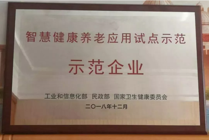 ”軟神股份“作(zuò)為(wèi)國(guó)家(jiā)第二批智慧健康試點示範企業(yè)在人(rén)民(mín)大(dà)會(huì)堂接受授牌！